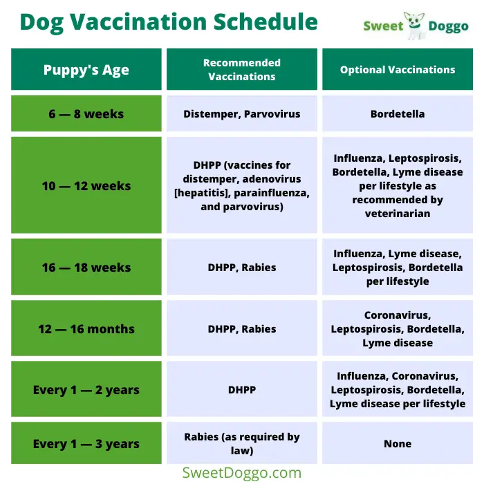 Dog Vaccination Schedule Chart: What You Should Know?