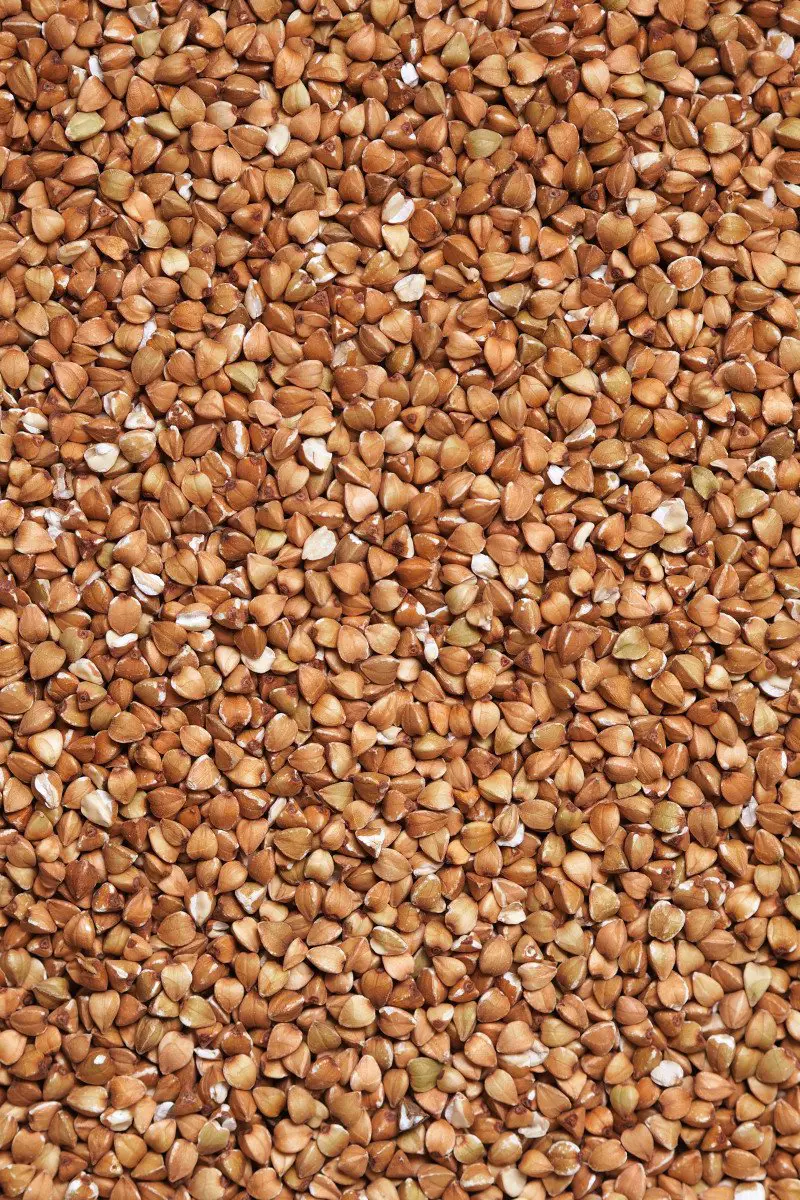 buckwheat is one of the ingredients to look for in fresh dog food